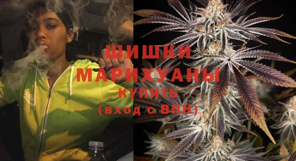 ГАЛЛЮЦИНОГЕННЫЕ ГРИБЫ Богданович